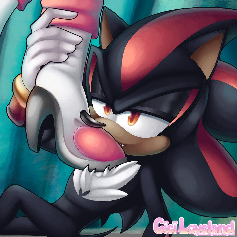 Rouge's Shadow